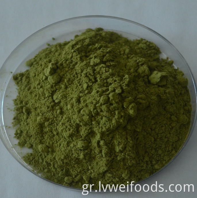 Αφυδατωμένη σκόνη μαρουλιού Dehydrated Lettuce Powder